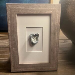 Framed Heart Shaped Shell Virginia Beach by Lucky Mischa NEW Wall or Table Art